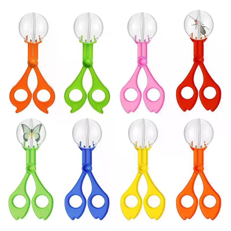ชุดกรรไกรจับแมลงเพื่อการศึกษาส - Outdoor Camping Kids Activities บทวิจารณ์และราคา